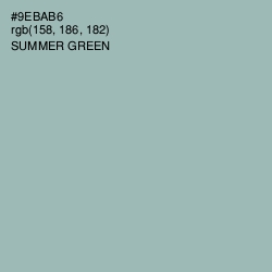 #9EBAB6 - Summer Green Color Image